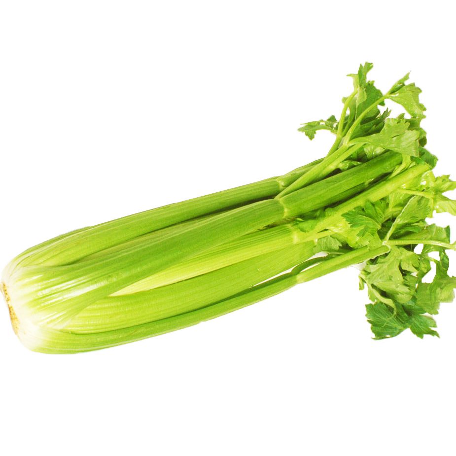 Original Package 40 Dry Celery Seeds Smallage Parsley Apium Graveolens